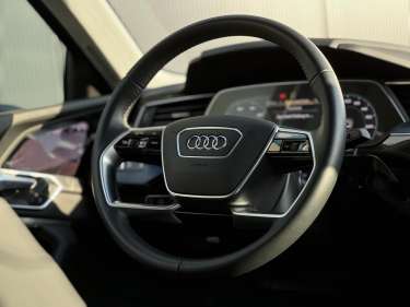 AUDI E-TRON SPORTBACK 50 313 Avus Extended E-Quattro